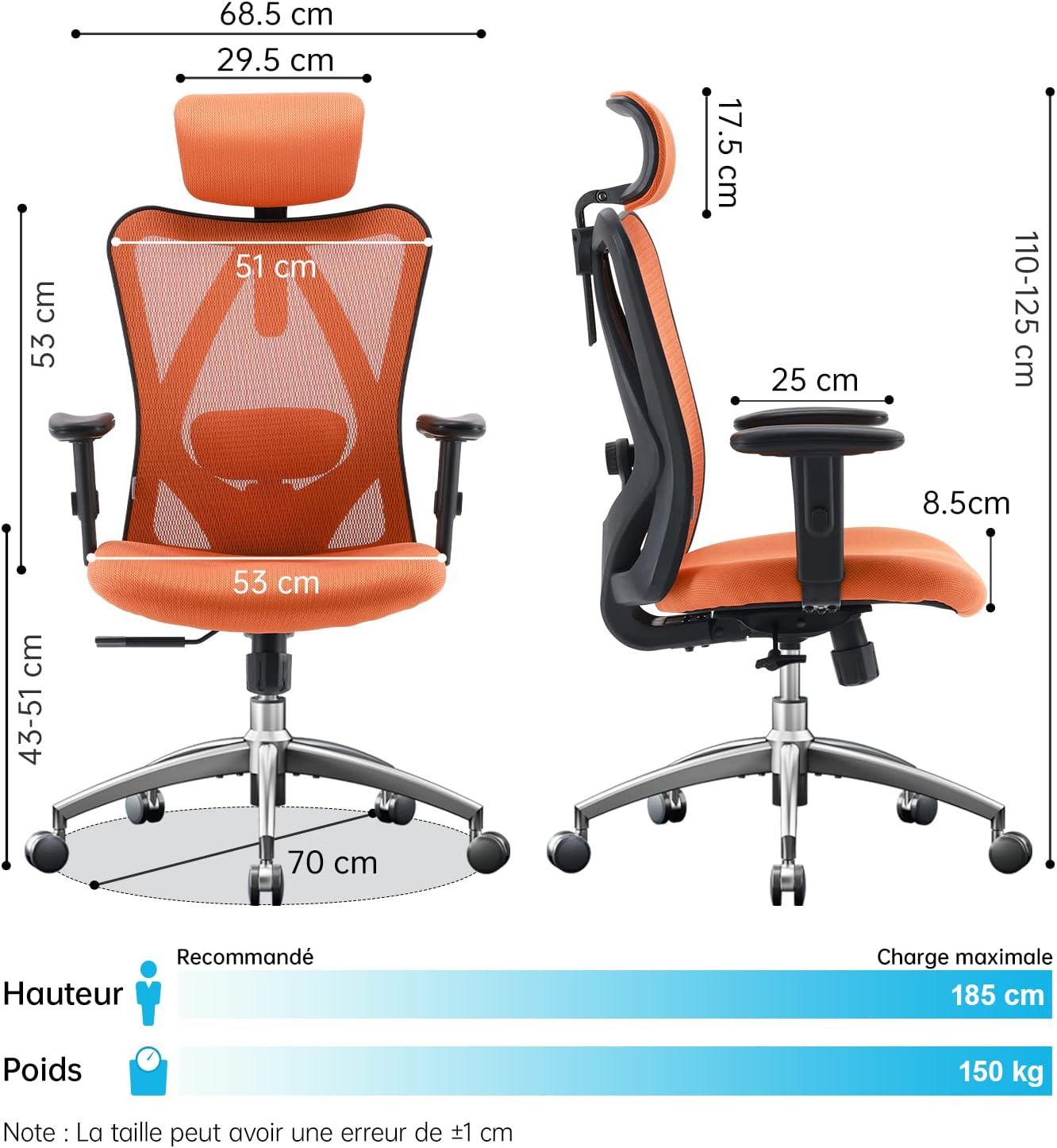 Sihoo M18 - Classic Office Chair With Triple Spinal Relief