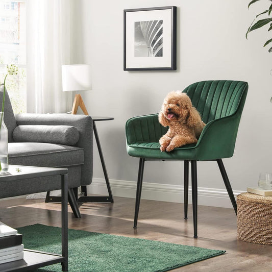 Dining Chair with Armrests