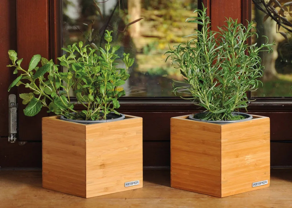 Kesper Universal Bamboo Box
