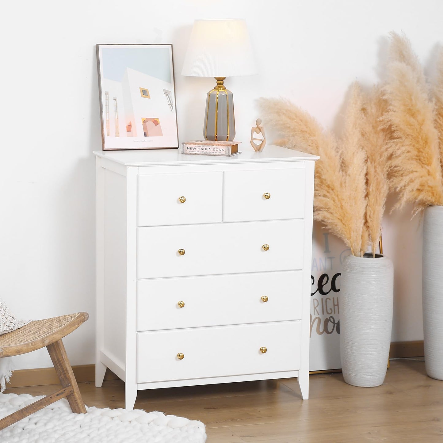 5 Drawer Closet Organizer