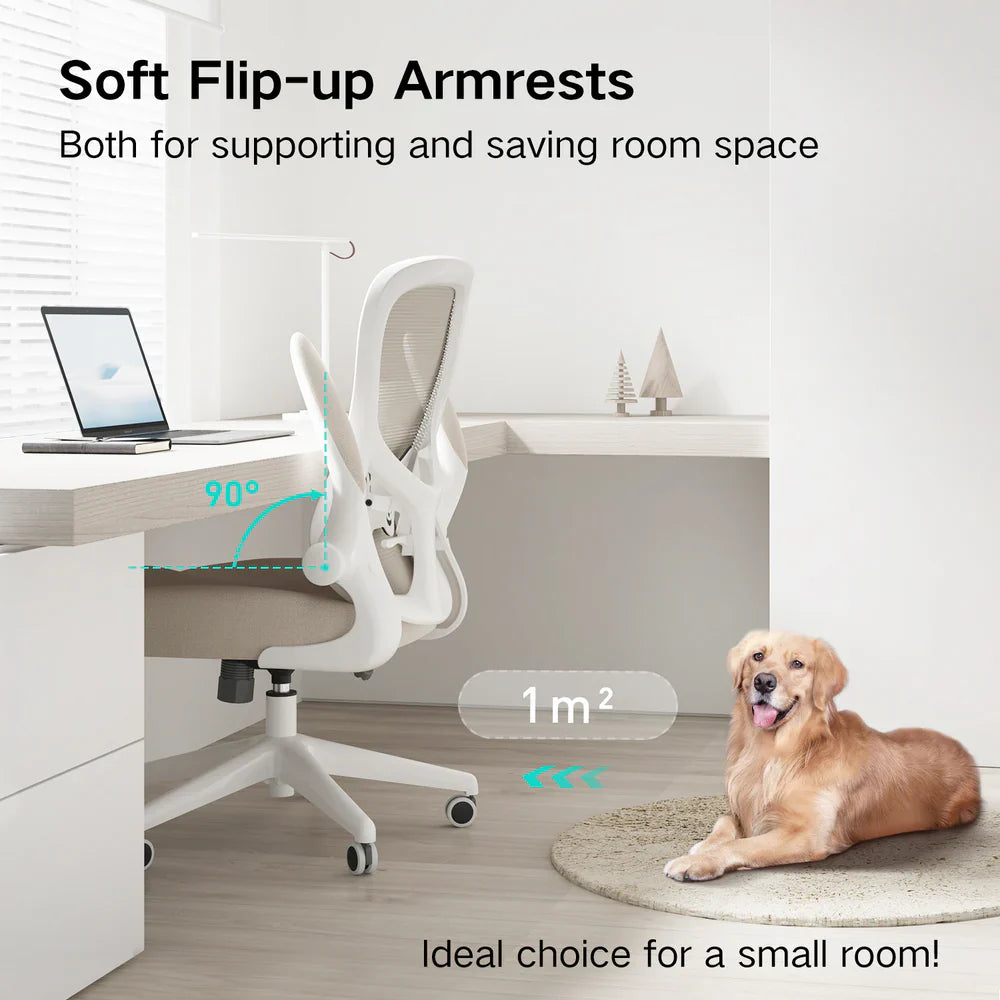 HBADA J3 Office Chair