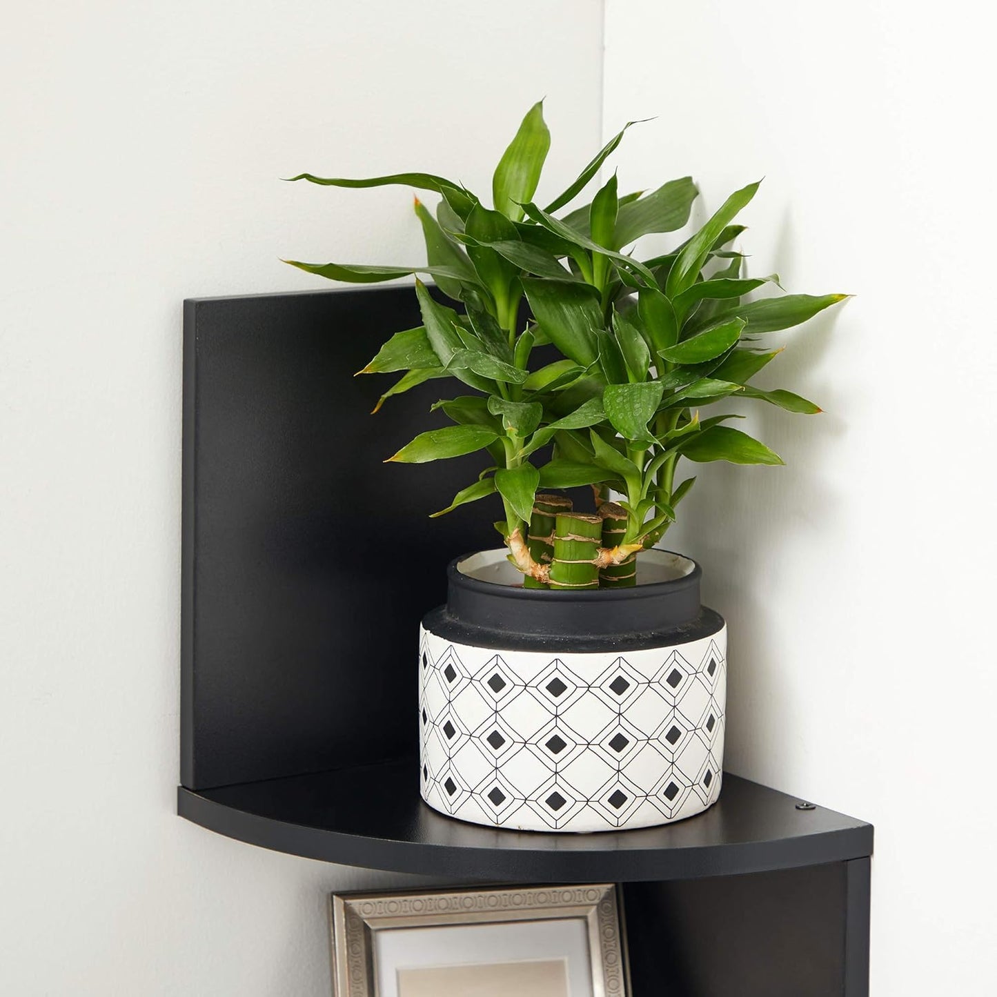 VASAGLE Corner Shelf LBC072B01