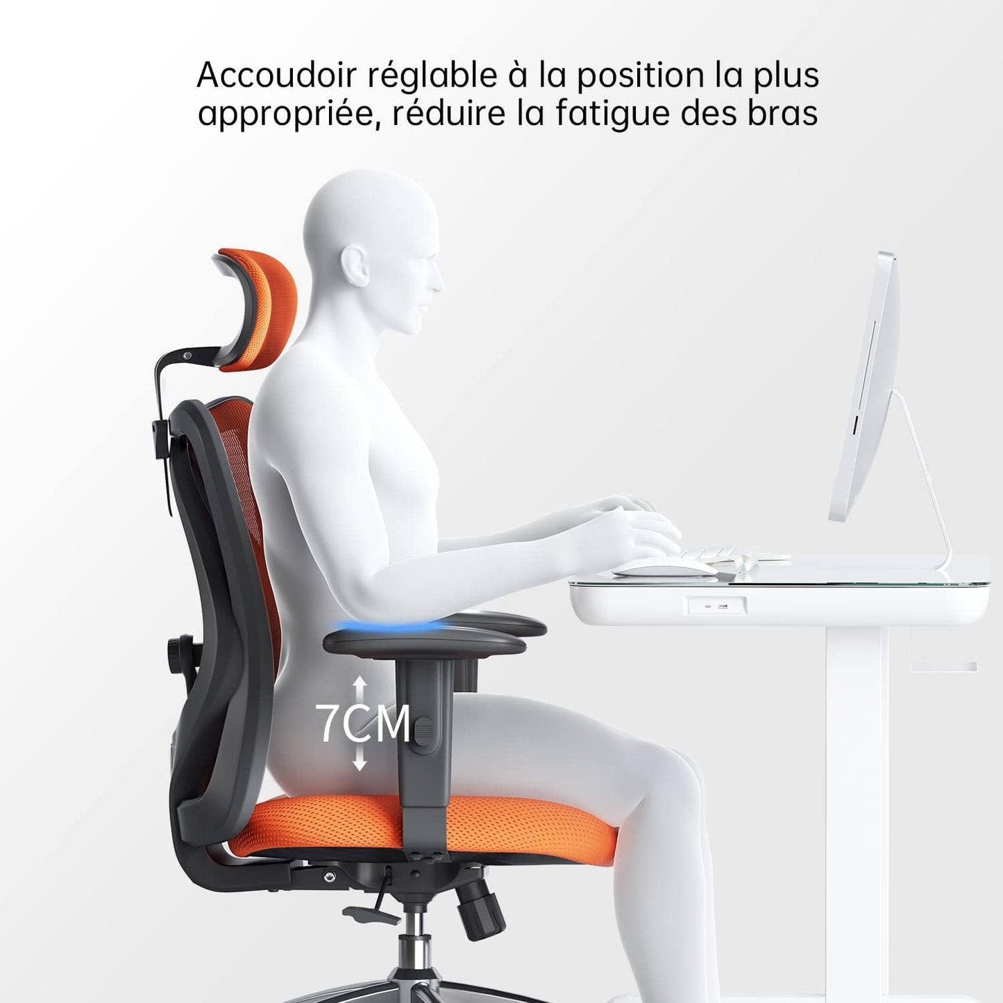 Sihoo M18 - Classic Office Chair With Triple Spinal Relief