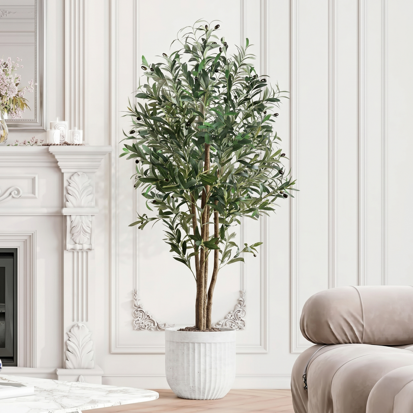 Indoor Potted Olive Tree